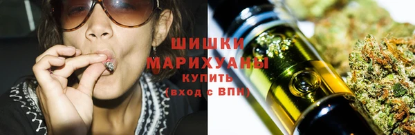 PSILOCYBIN Кукмор