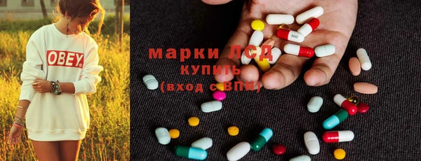 PSILOCYBIN Кукмор