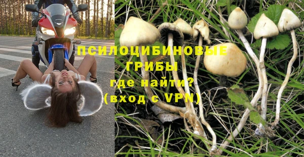 PSILOCYBIN Кукмор