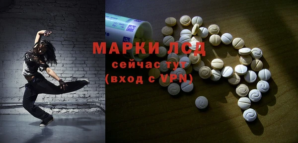 PSILOCYBIN Кукмор